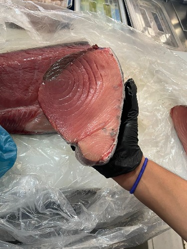 Medallones de Lomo de atún azul nacional- POR TEMPORADA