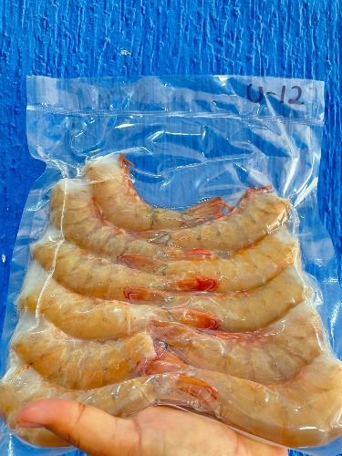 Camarón 12 Unidades